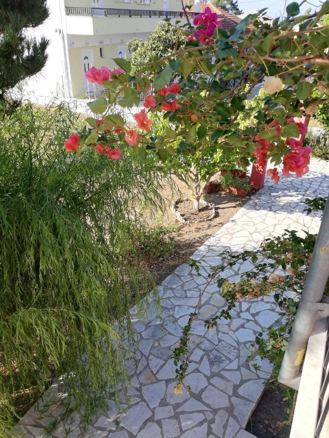 Apartment Anestis