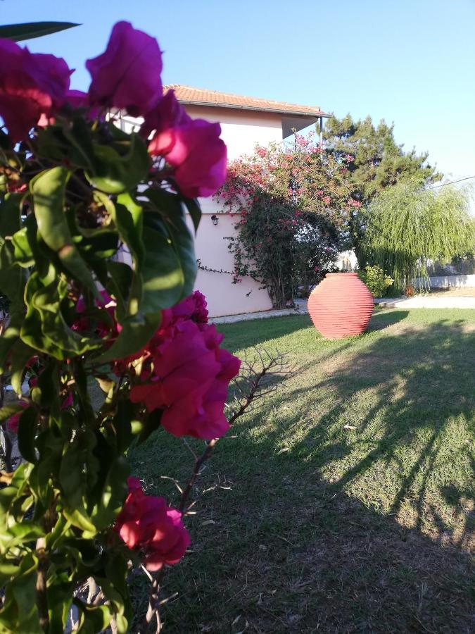 Apartment Anestis Agios Georgios (Corfu)