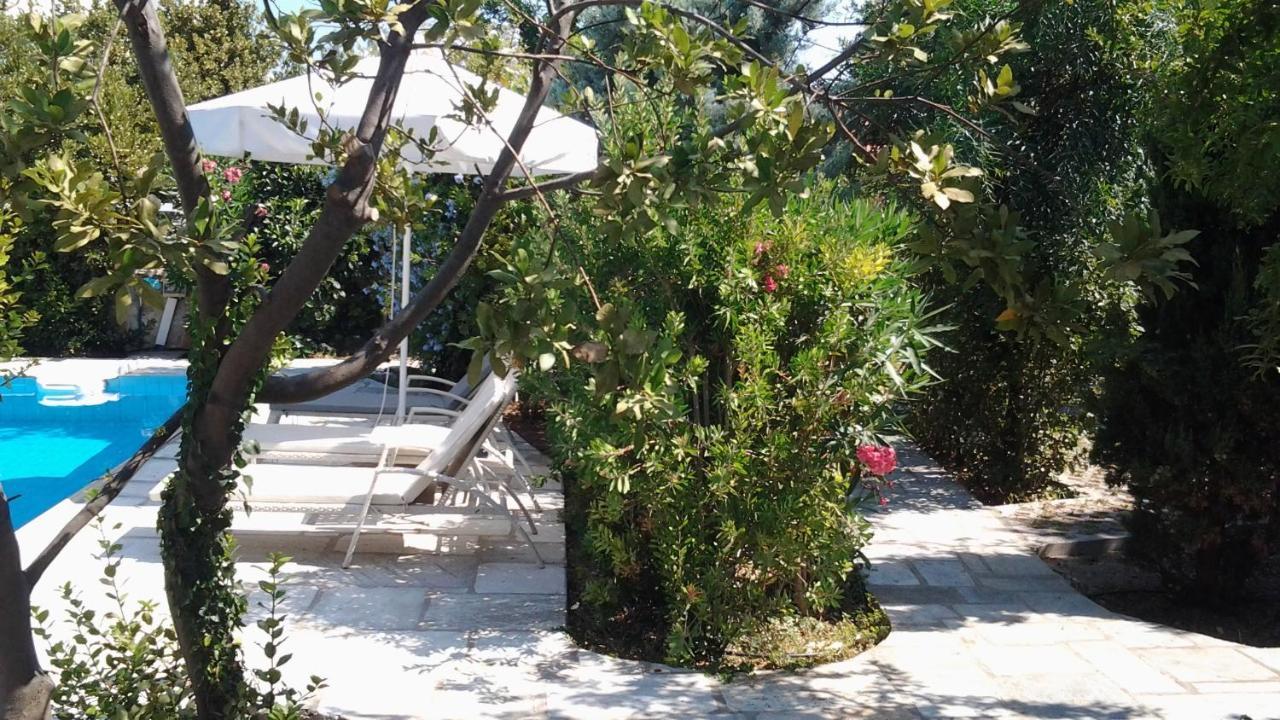 Planitas Skopelos Town