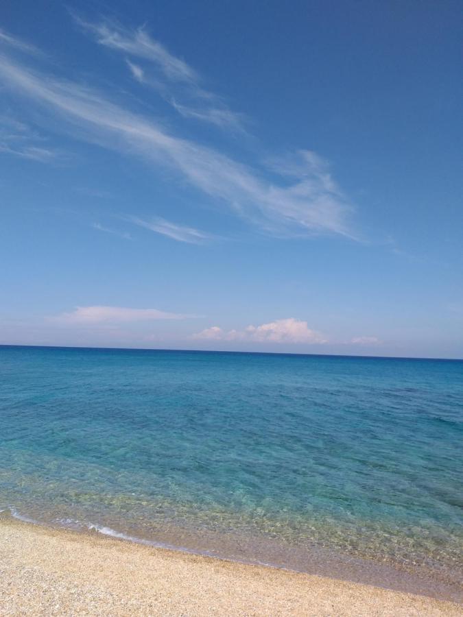 Mandola - Beachside