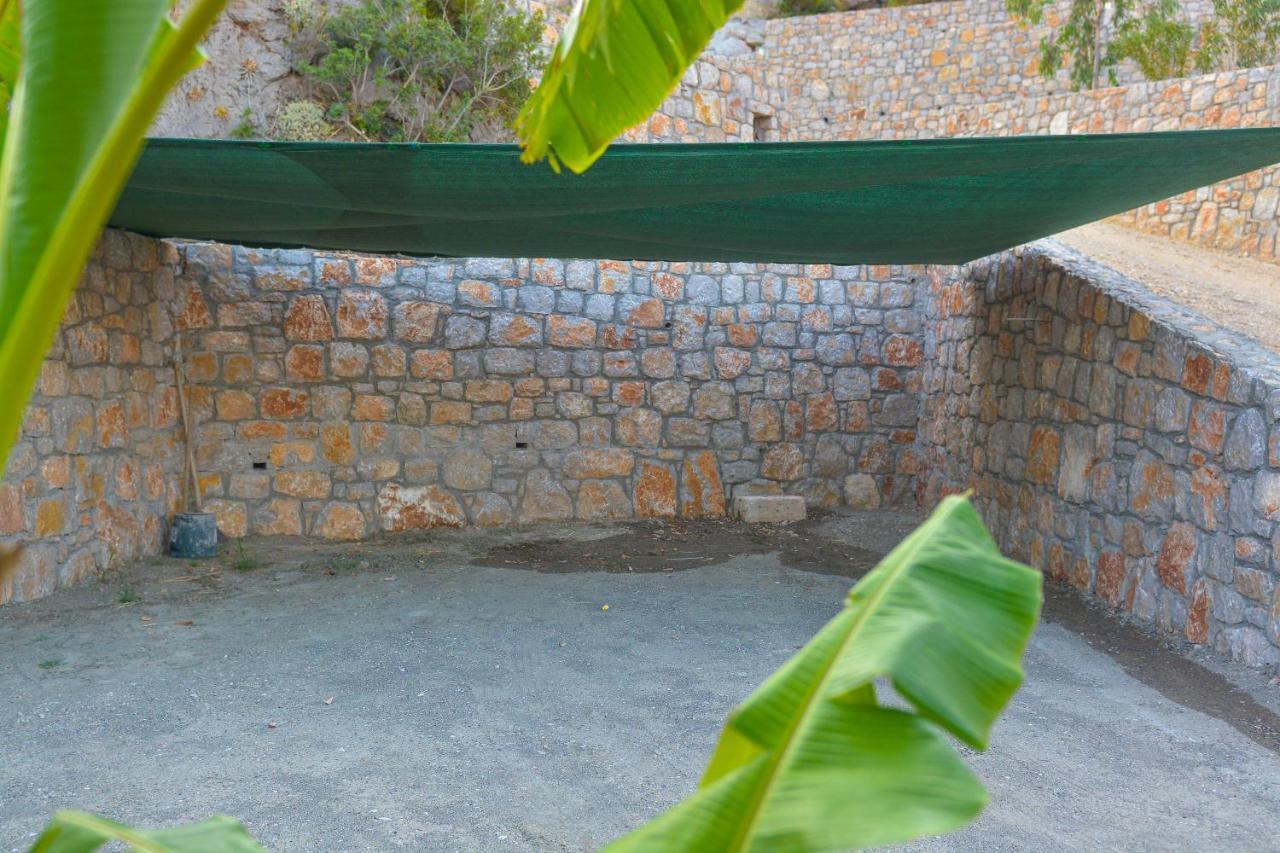 Rose Villa Archangelos (Rhodes)