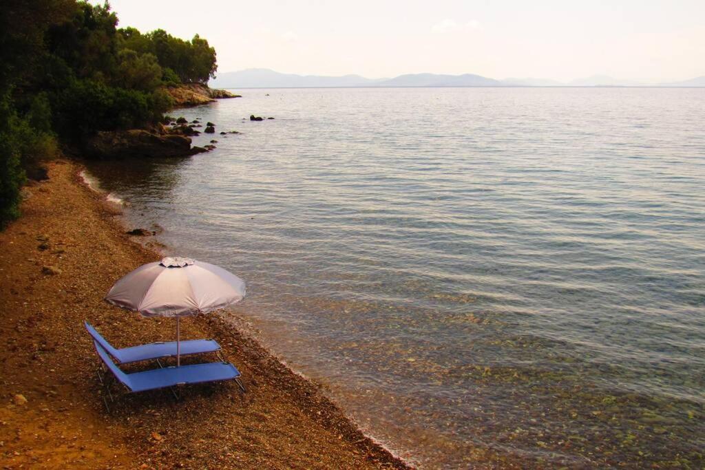 Christie's Ground Floor By The Sea * Kato Gatzea