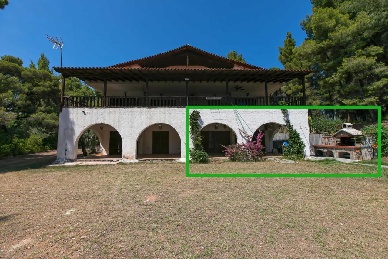 Apartment Chalkidiki Beachfront Haven - Perfect Location