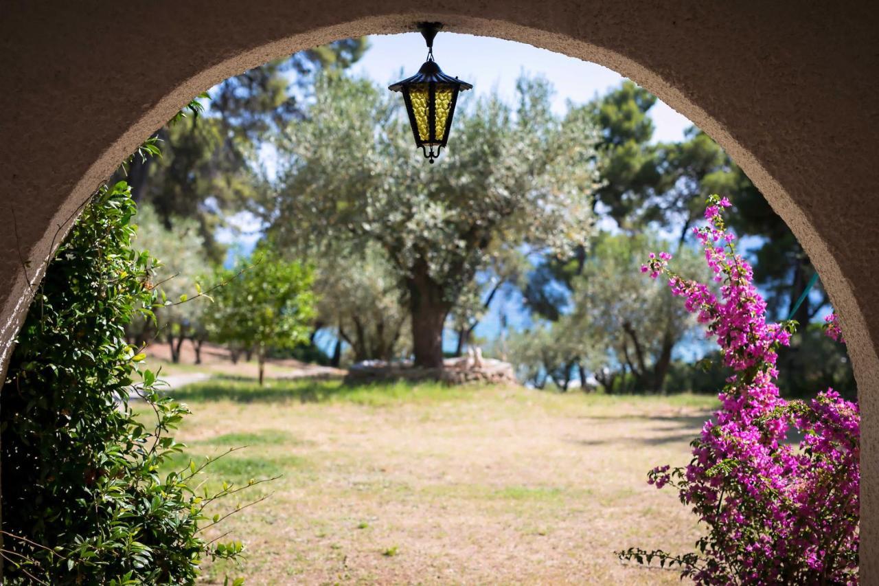 Chalkidiki Beachfront Haven - Perfect Location * Nikiti (Sithonia)