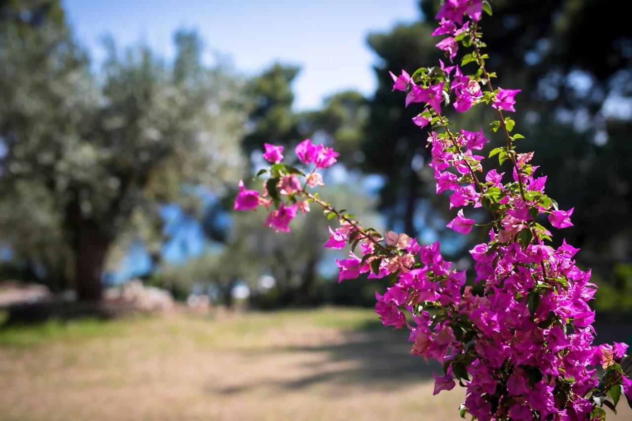Chalkidiki Beachfront Haven - Perfect Location Apartment *