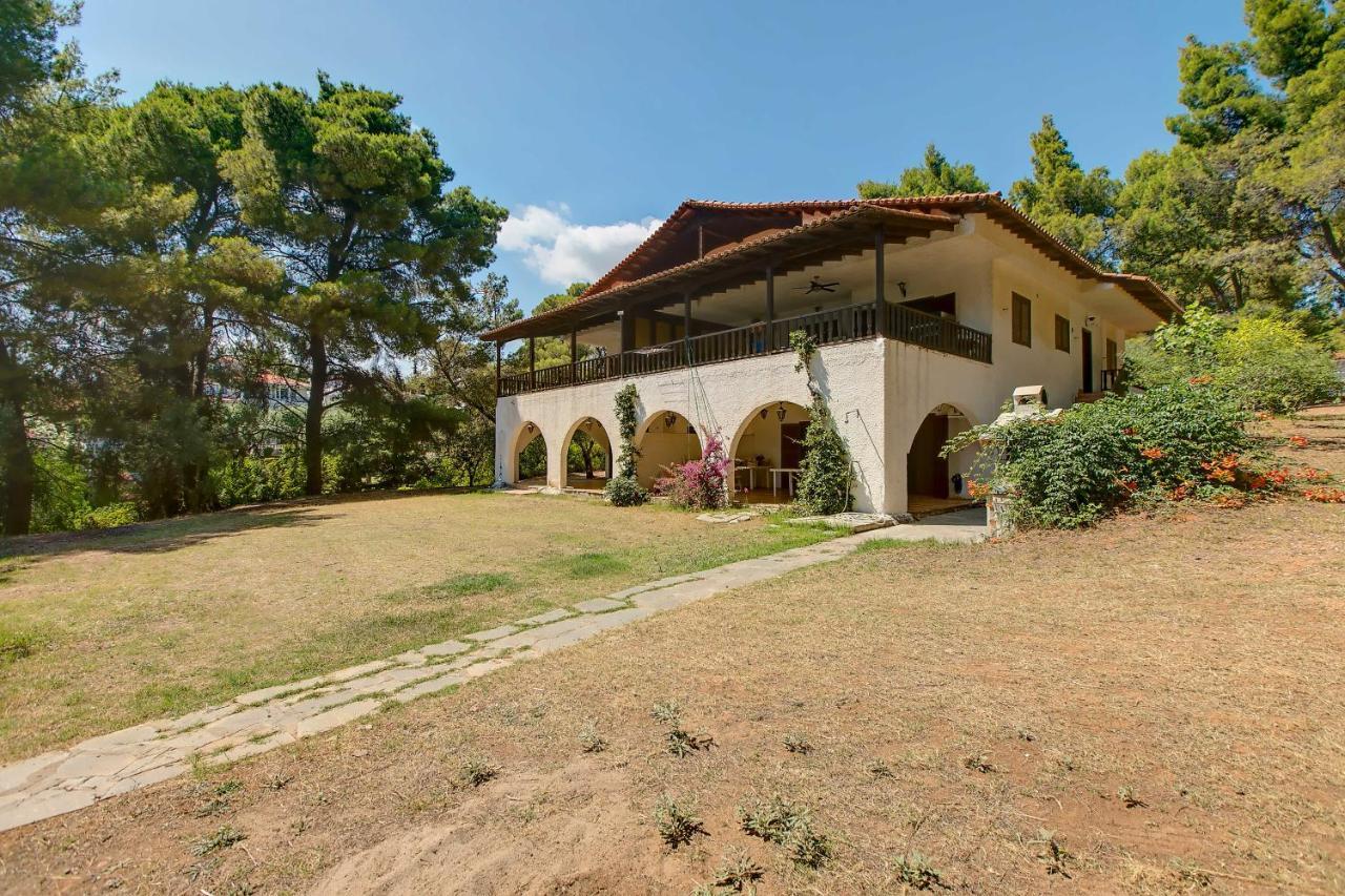 Apartment Chalkidiki Beachfront Haven - Perfect Location Nikiti (Sithonia)