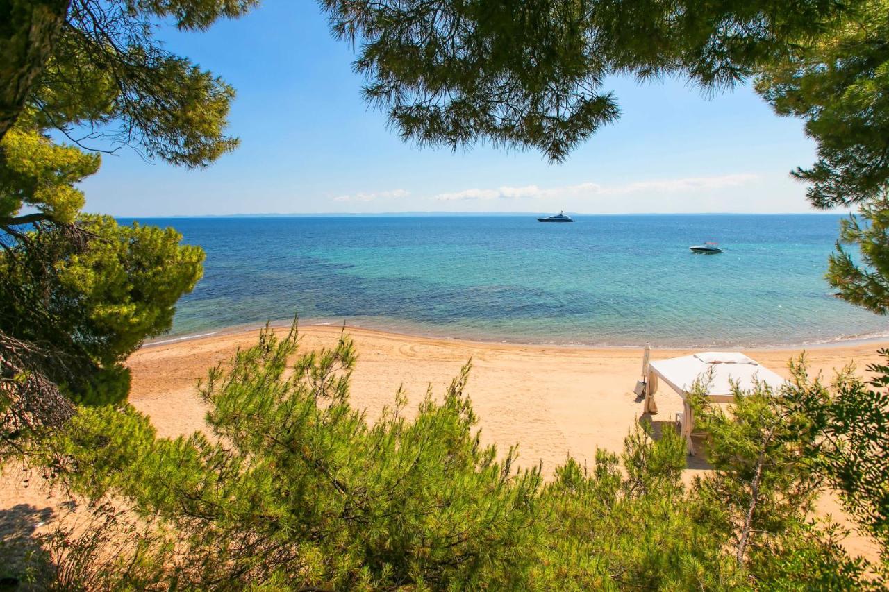 Apartment Chalkidiki Beachfront Haven - Perfect Location *