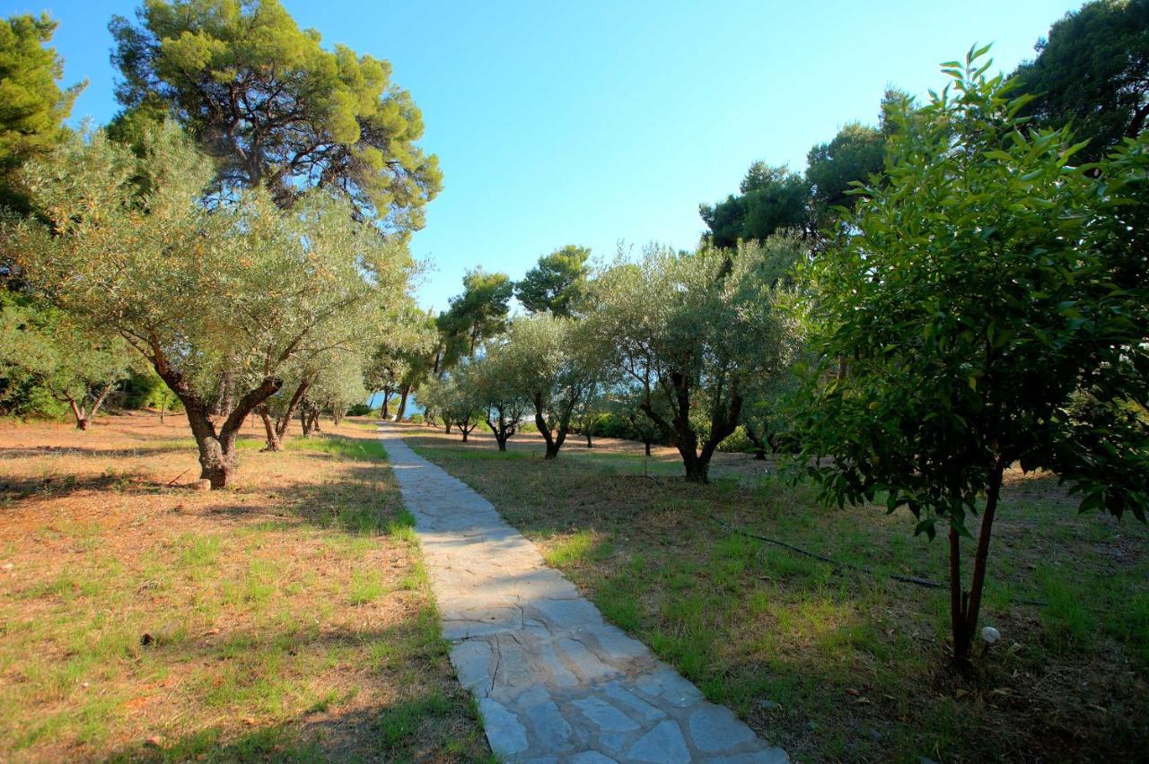 Apartment Chalkidiki Beachfront Haven - Perfect Location *