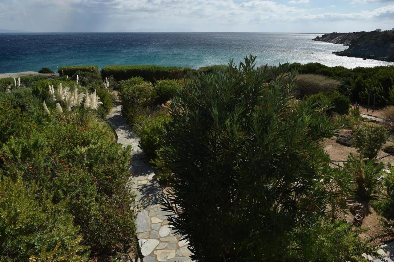 Sophia Paros - Beachfront At Lolantonis Drios