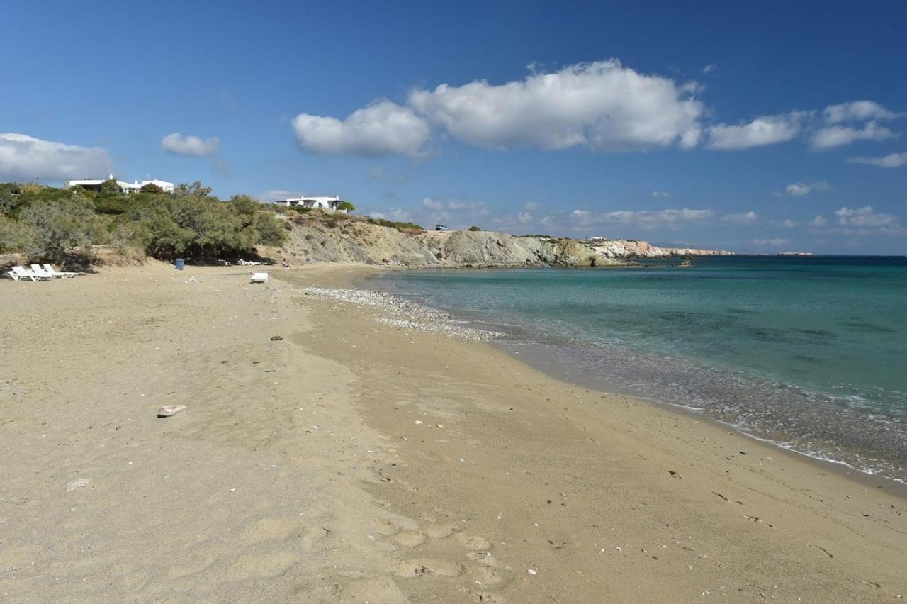 Villa Sophia Paros - Beachfront At Lolantonis *