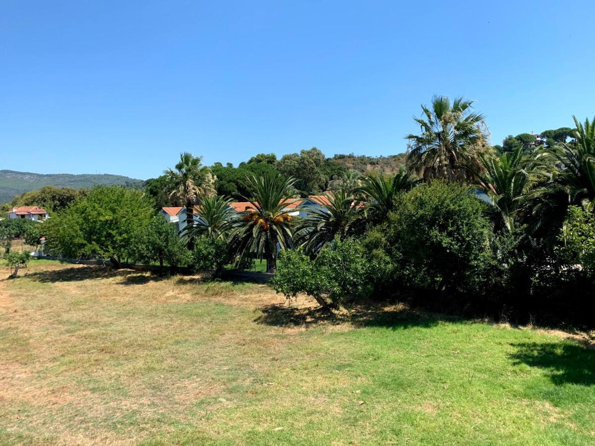 Apartment Alexandra Skiathos
