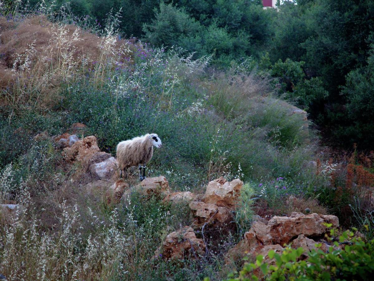 Villa Sea-view In Near Rethymnon *