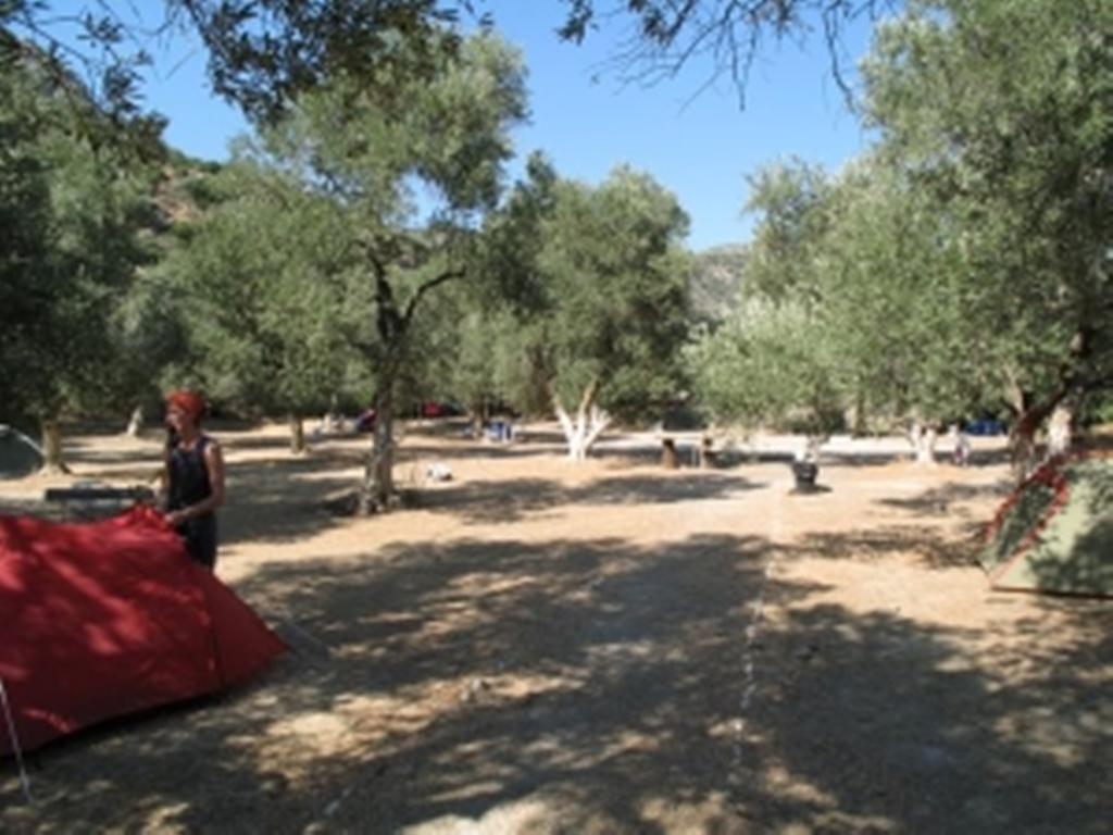 Campsite Camping Paleochora *