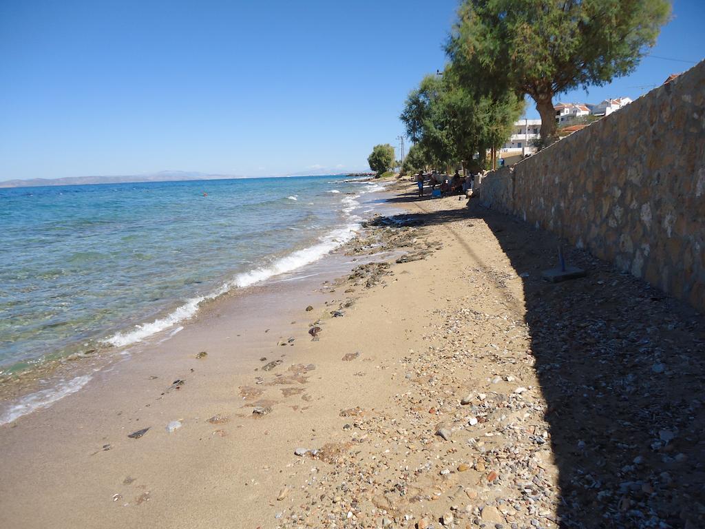 Mare *