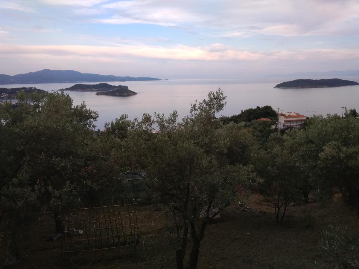 Axiothea Vasilias (Skiathos)
