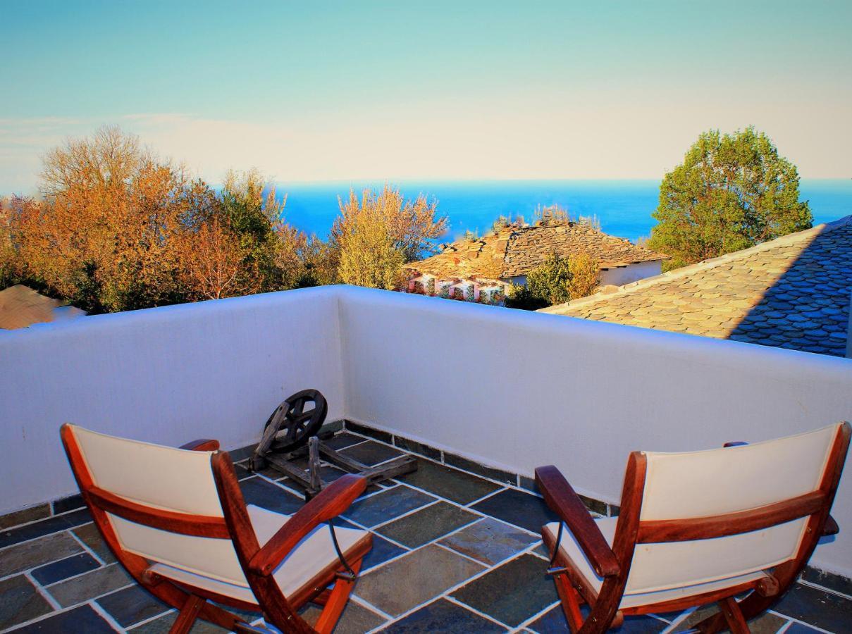 Muses Guest house *
