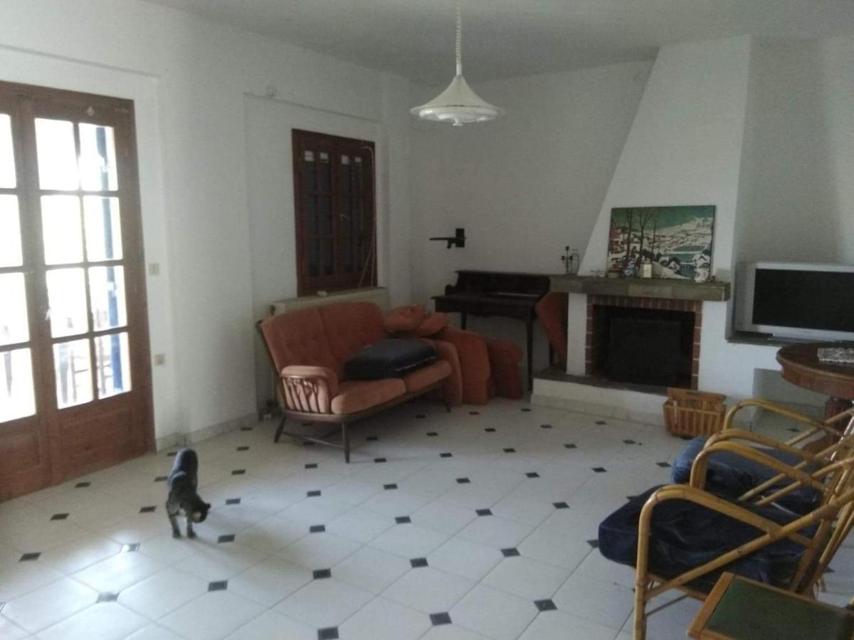 Olive Branch2 Apartment Galatas (Poros)