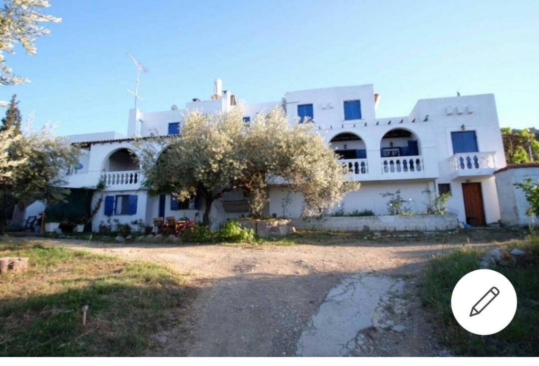 Olive Branch2 * Galatas (Poros)