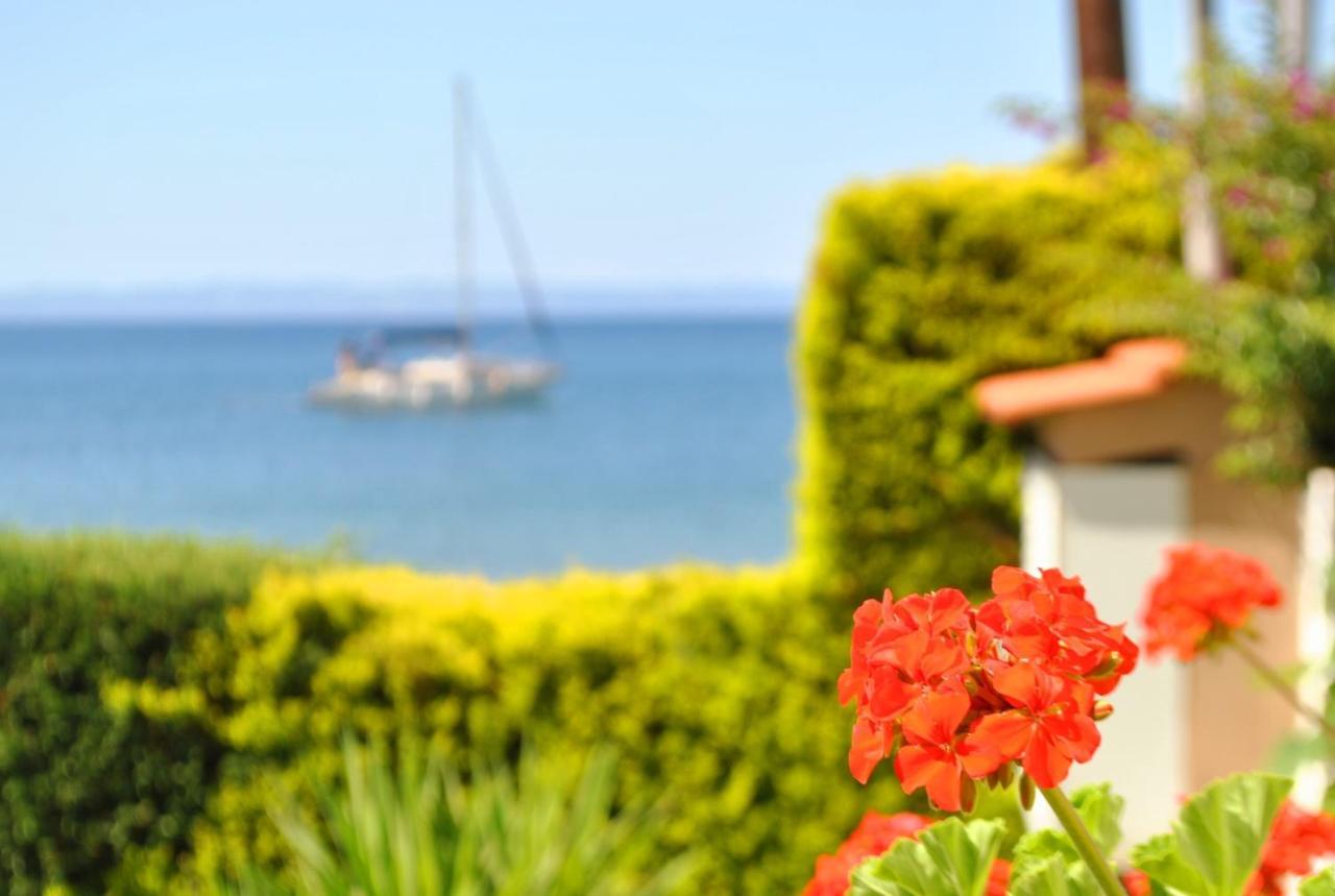 Christina's Sea House * Nikiti (Sithonia)