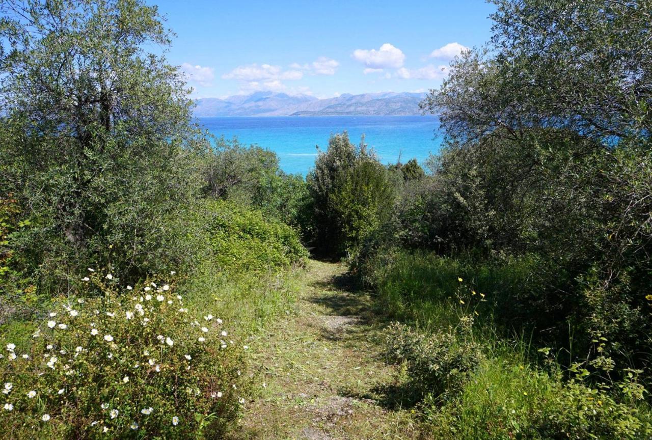 Villa Thalia Estate Agios Spyridon (Corfu)