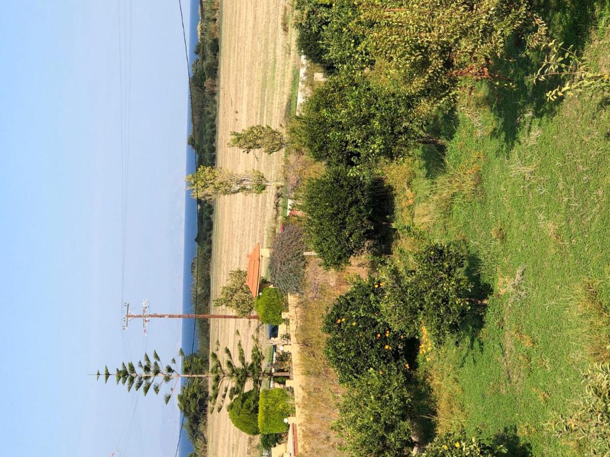 Apartment Stelia Luxury Kalavarda