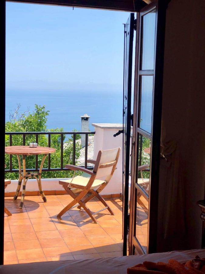 Muses Guest house *