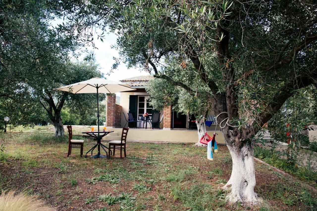 Private Dula With Ocean View