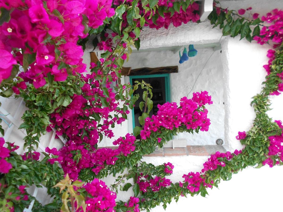 Eco House Holiday home