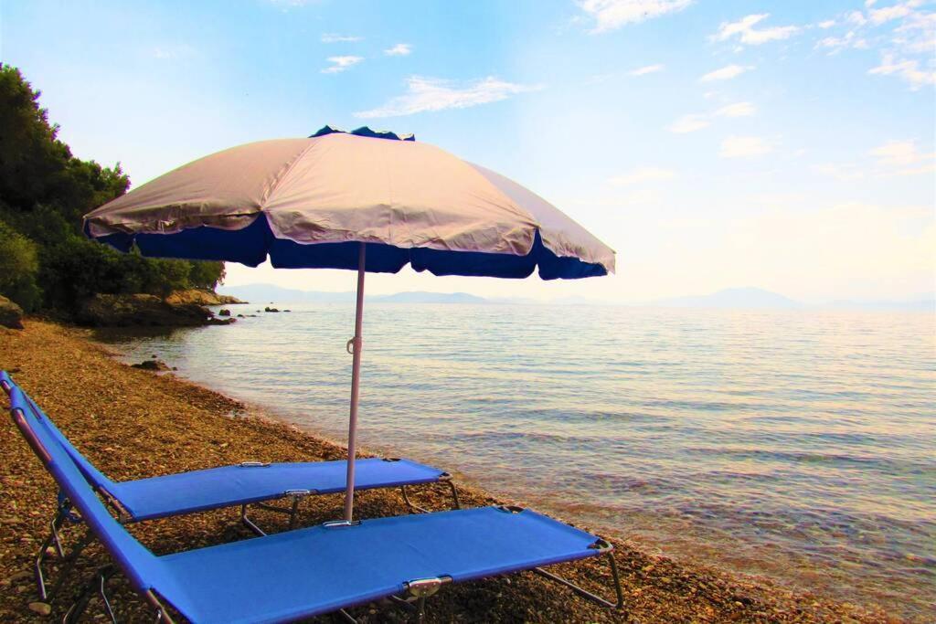 Christie's Ground Floor By The Sea Holiday home