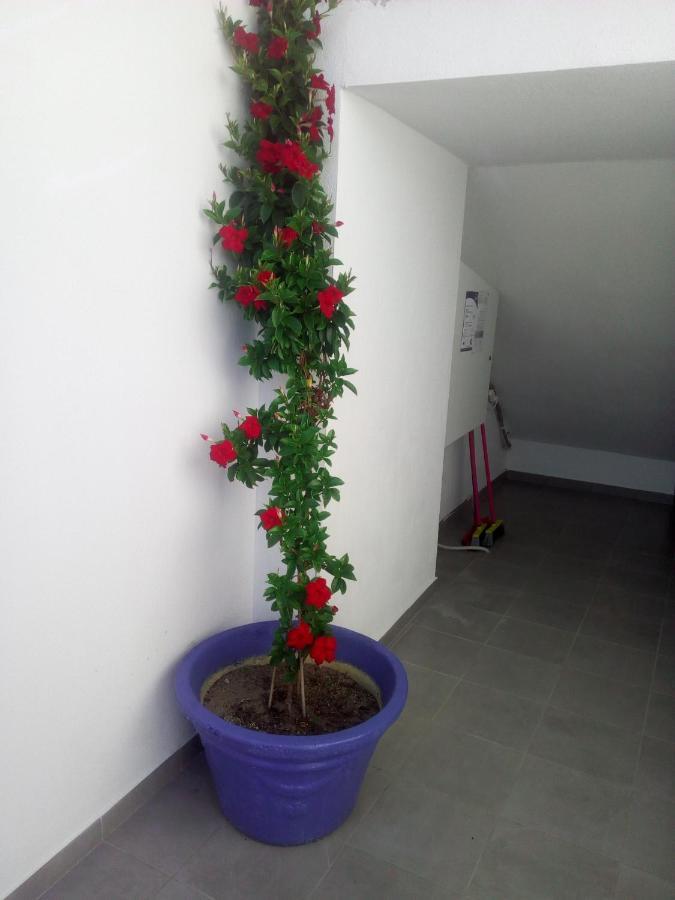 Persefoni & Mezonetes Aparthotel Toroni