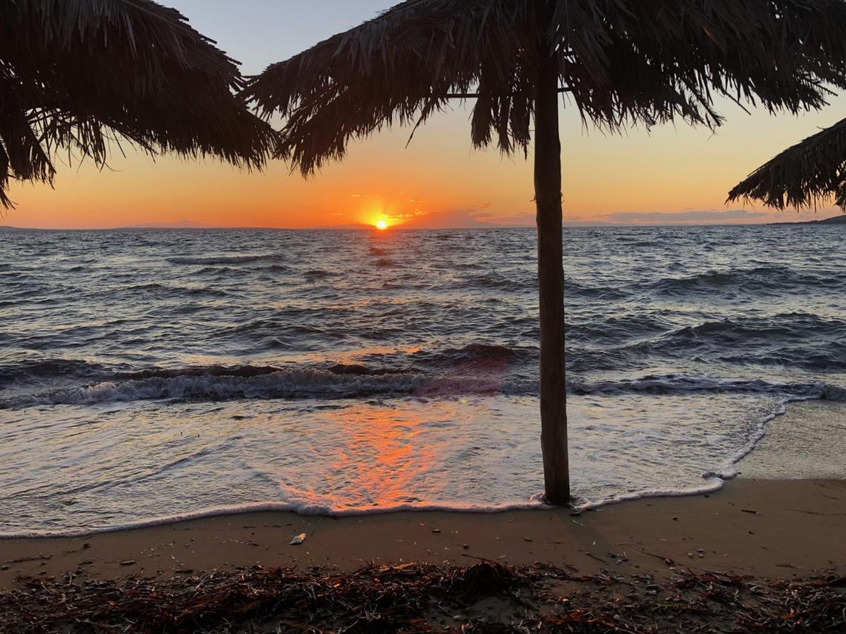 Holiday home Seasidelongo 1 Min From The Of