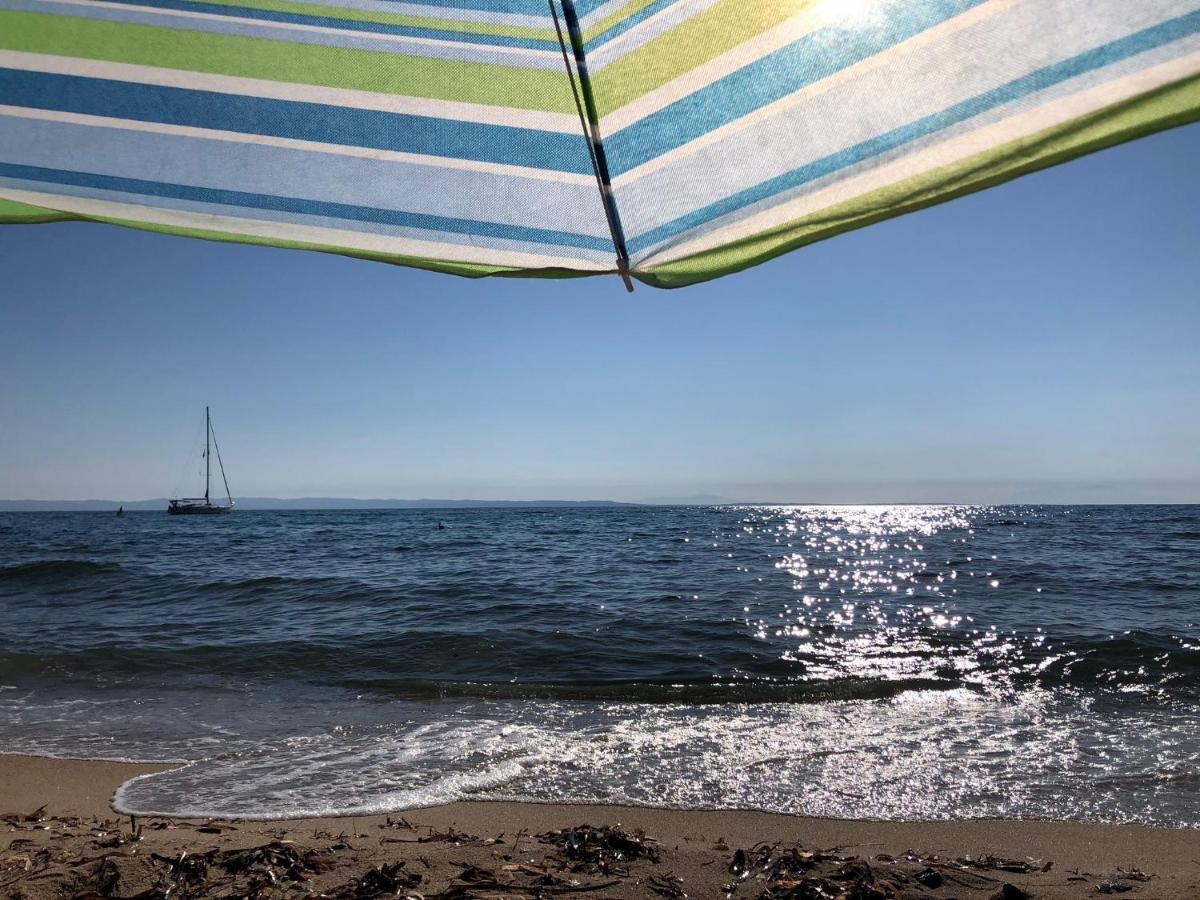 Holiday home Seasidelongo 1 Min From The Of Nikiti (Sithonia)
