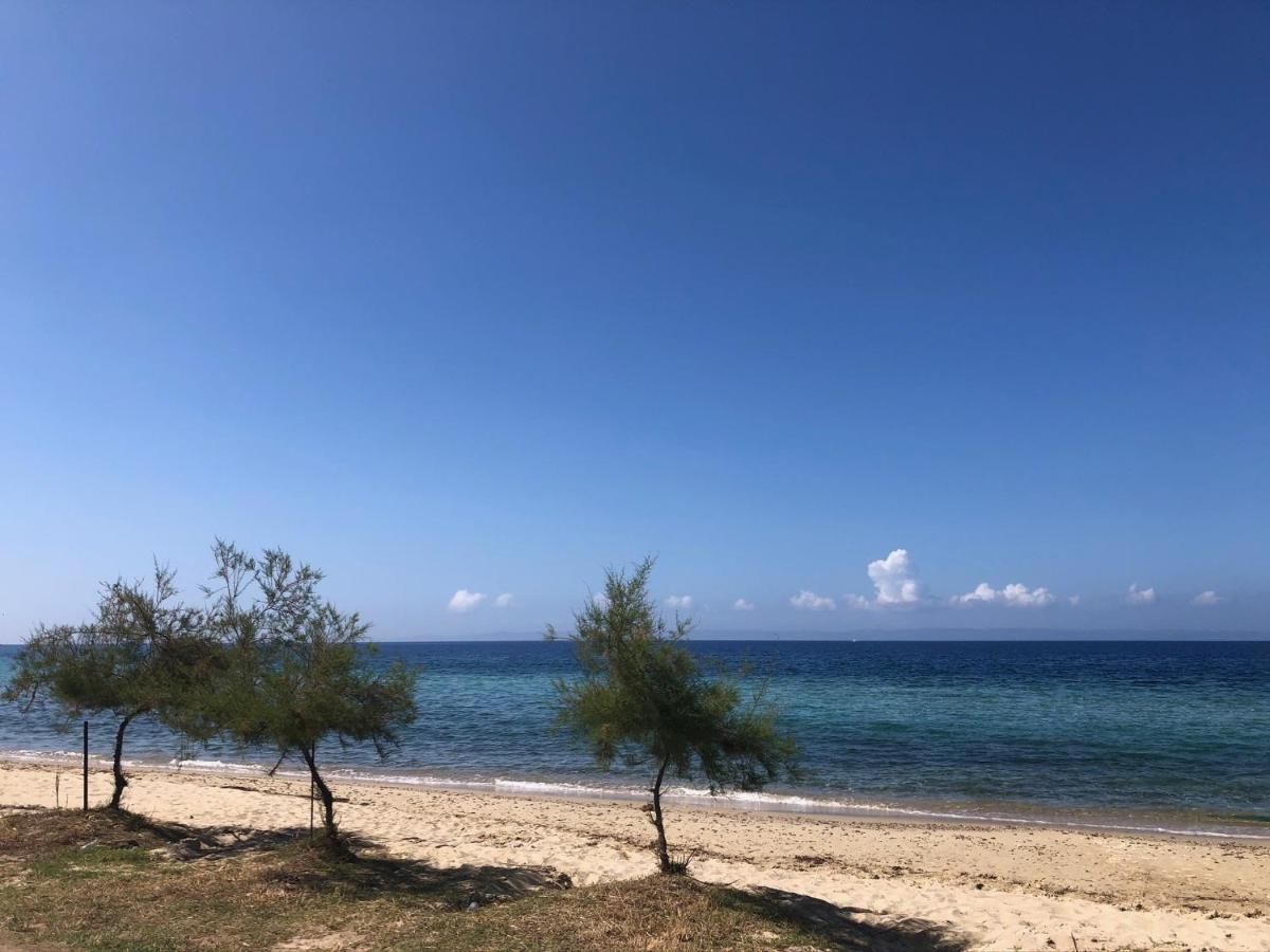 Seasidelongo 1 Min From The Of * Nikiti (Sithonia)