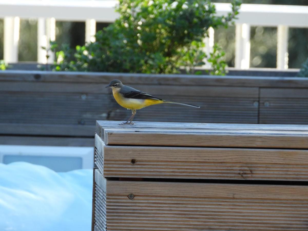 Galini Holiday home Mikros Gialos