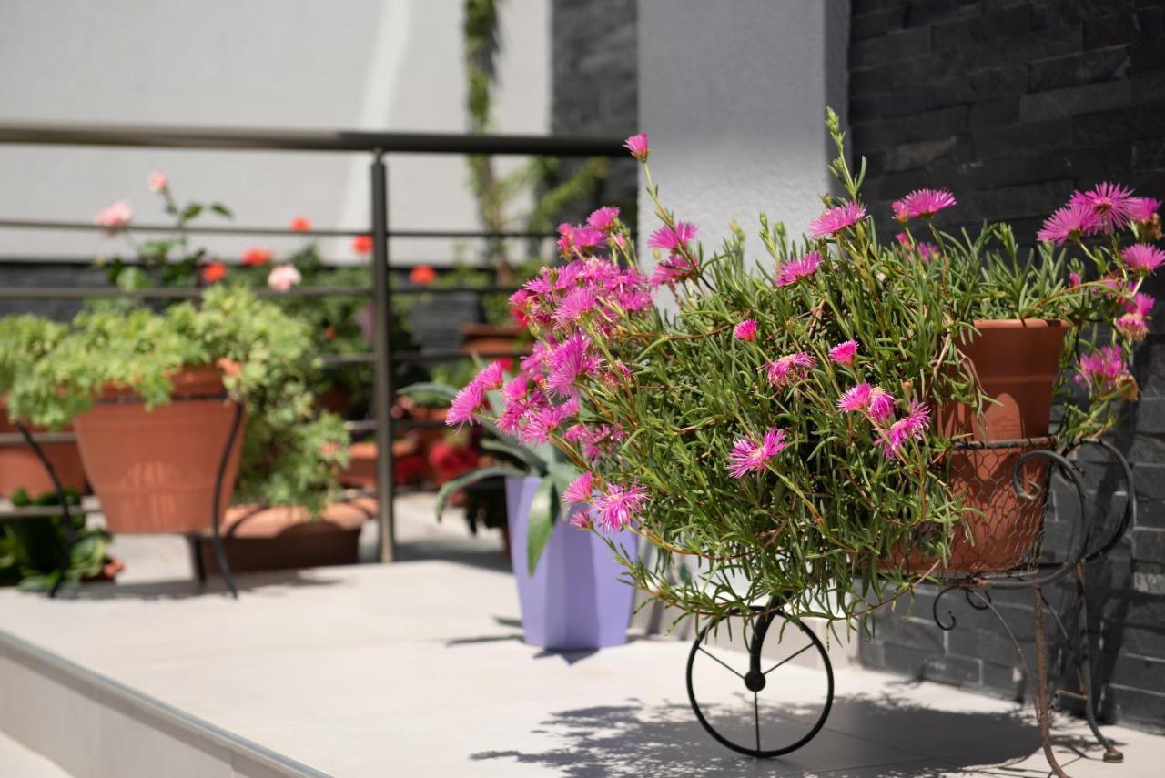 Almare Seaside & - Sithonia Aparthotel *