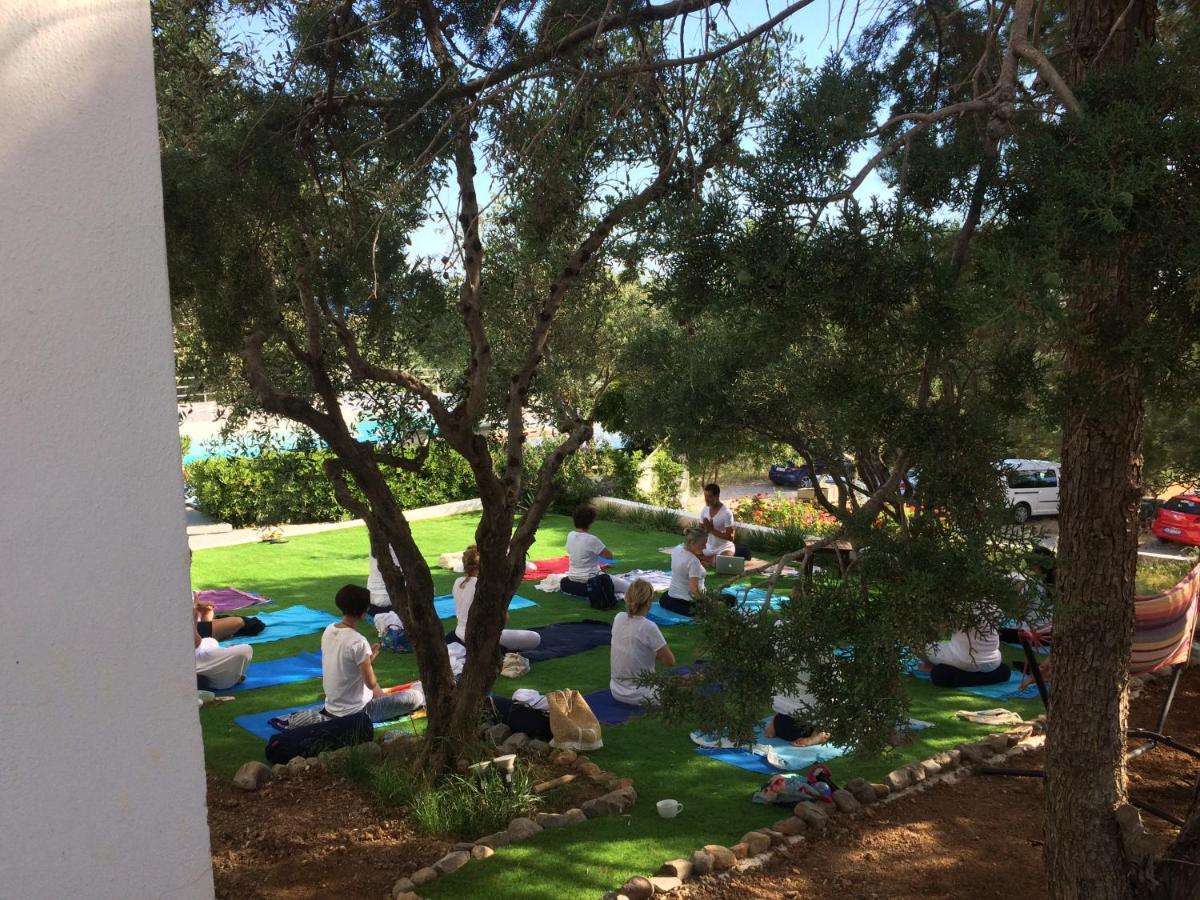 Village Cretan Agrotourism 4* Milatos