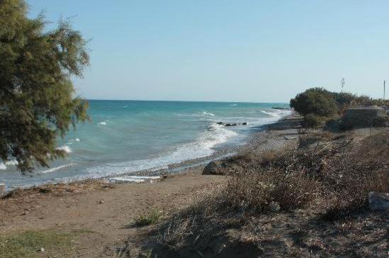 Asterias Bay-theologos Theologos (Rhodes)