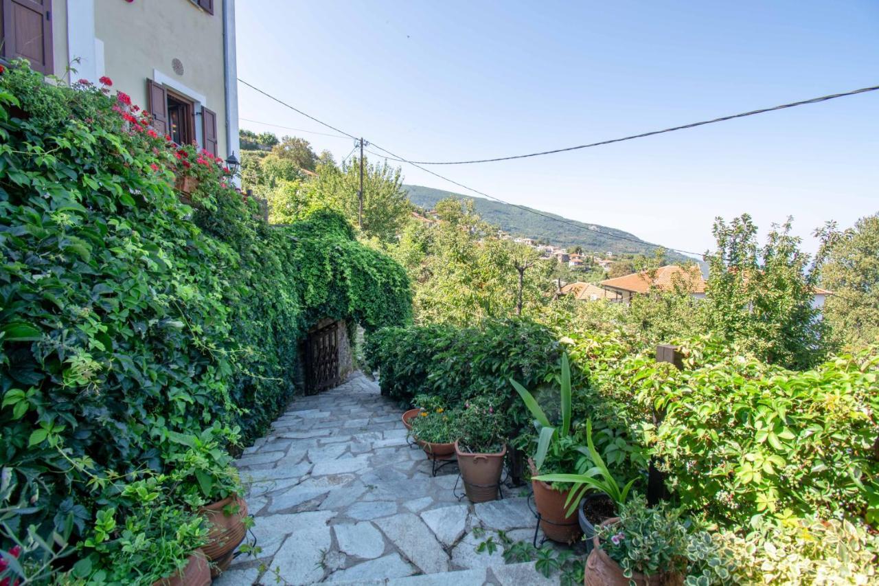 Traditional 4 Epoches Guest house Zagora