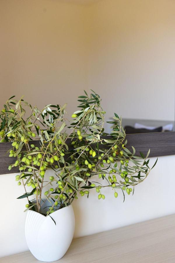 Stelia Luxury Apartment *