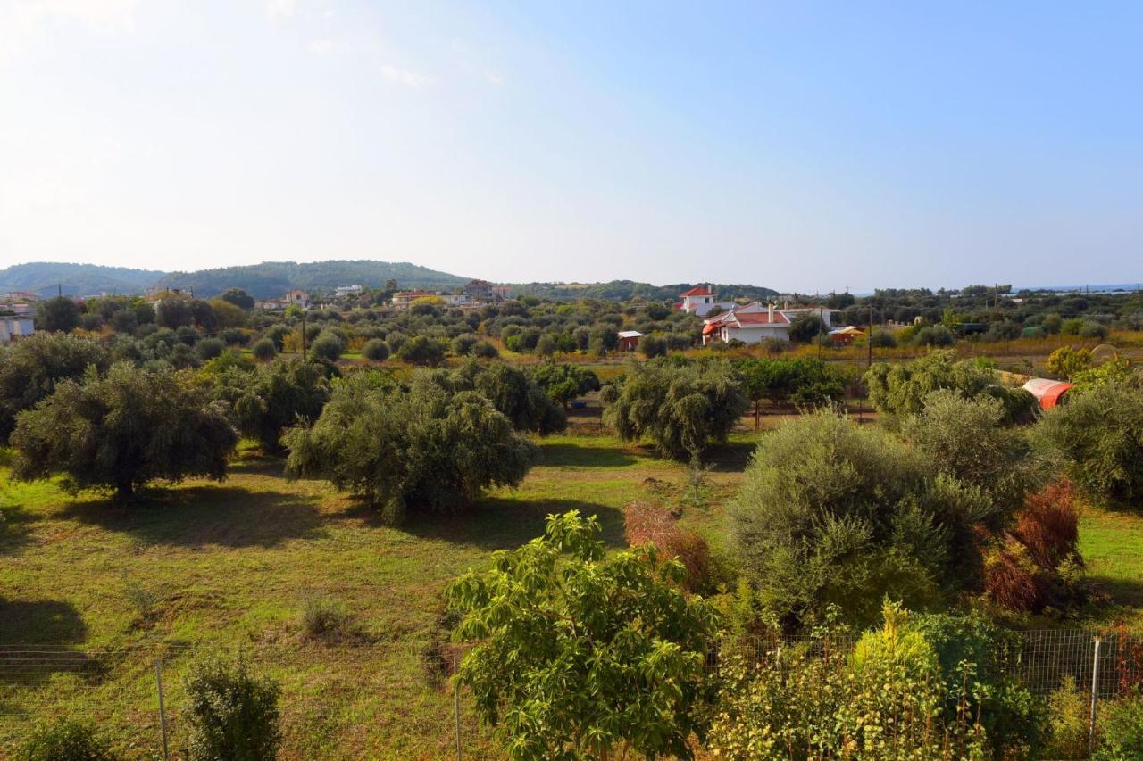 Apartment Stelia Luxury
