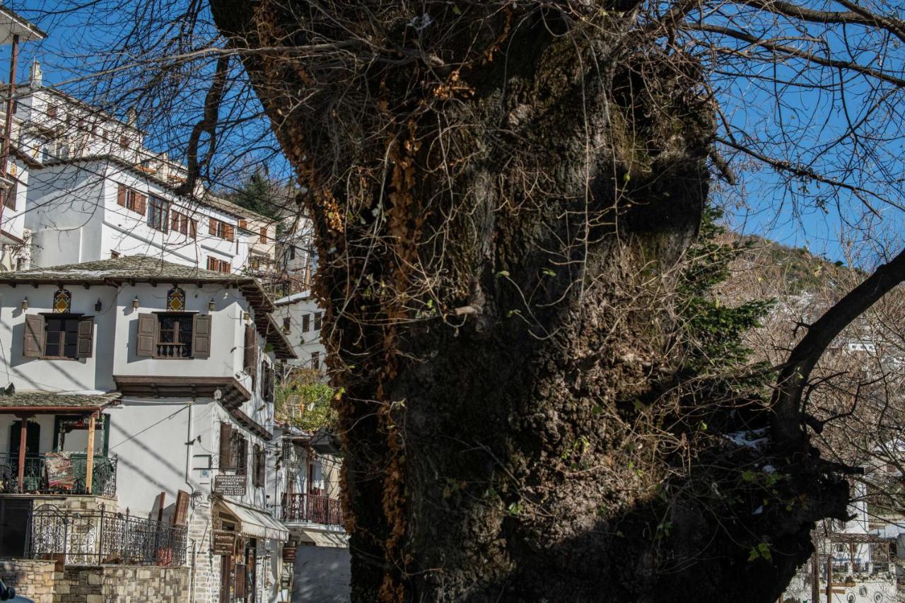 Guest house Philos