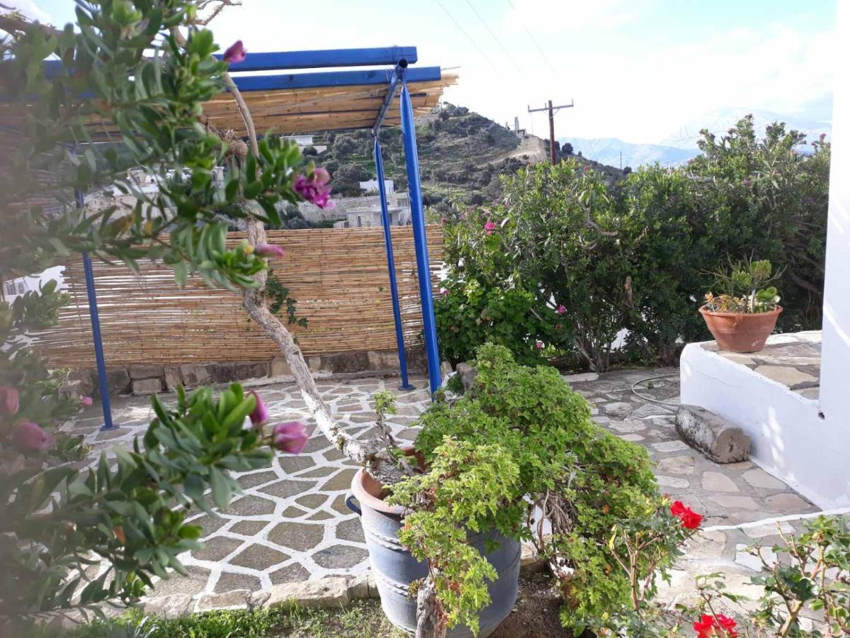 Apartment Aloni *