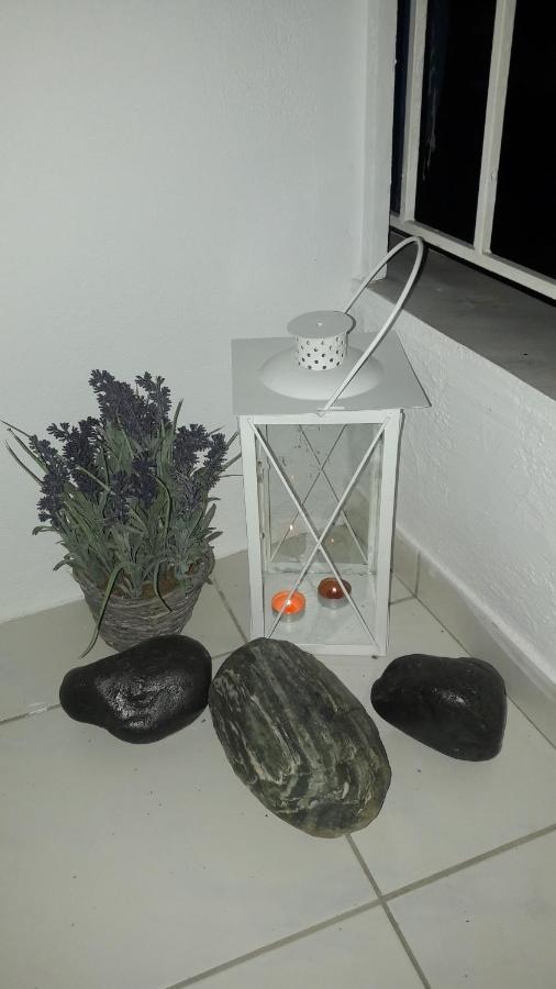 Apartment Vi