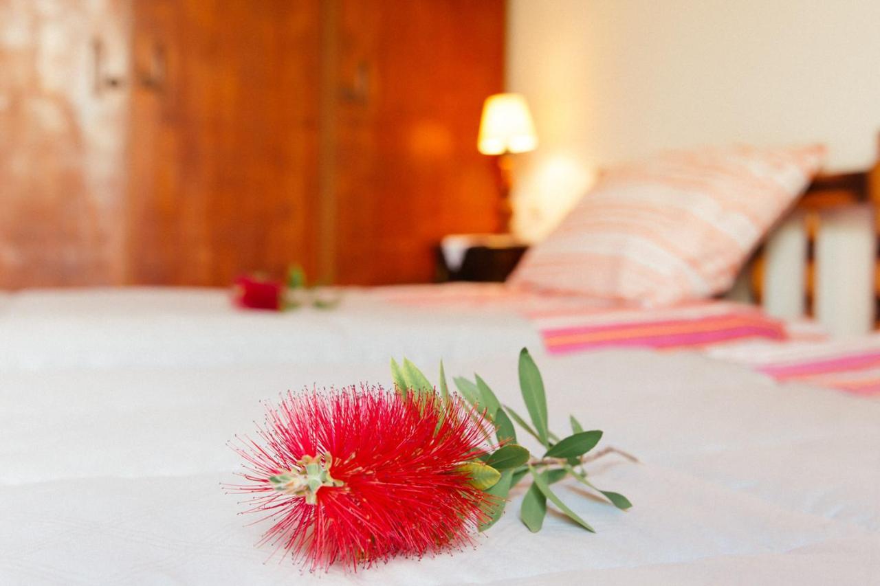 Private Dula With Ocean View Corfu (city)