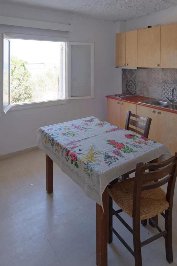 Panorama Apartment Pitsidia