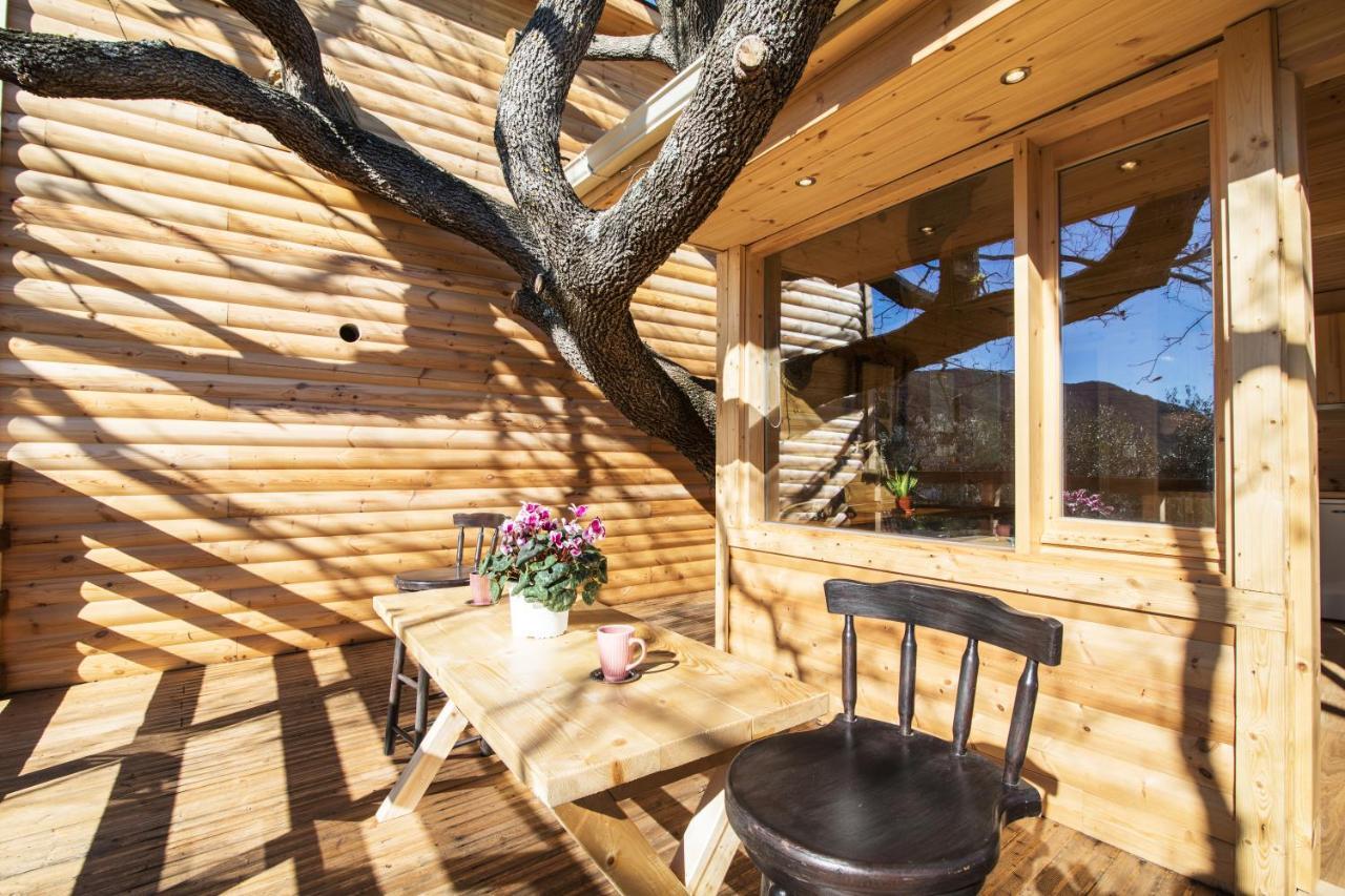 Romantic Tree House * Kato Pavliana
