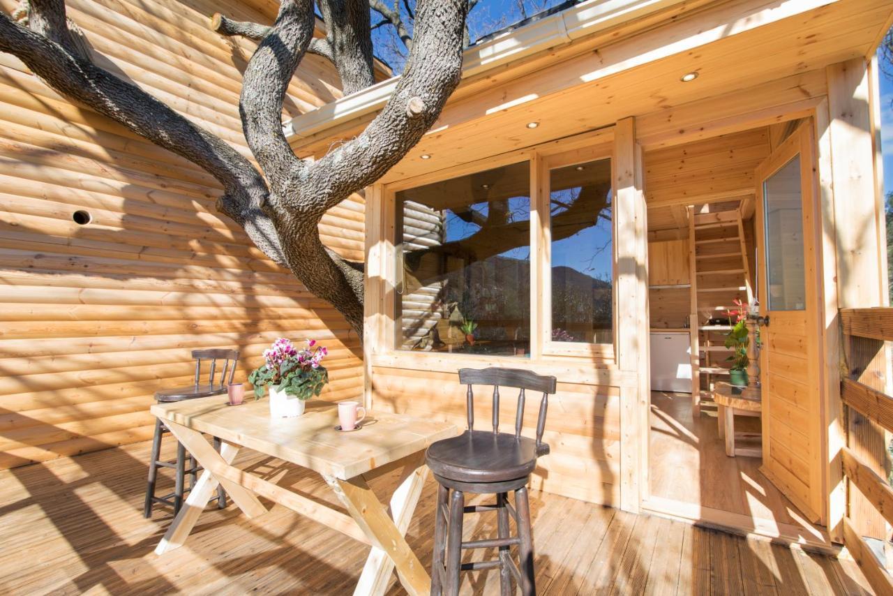Romantic Tree House Kato Pavliana