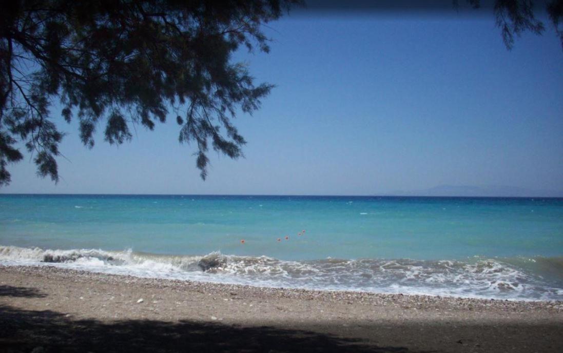Asterias Bay-theologos 3*