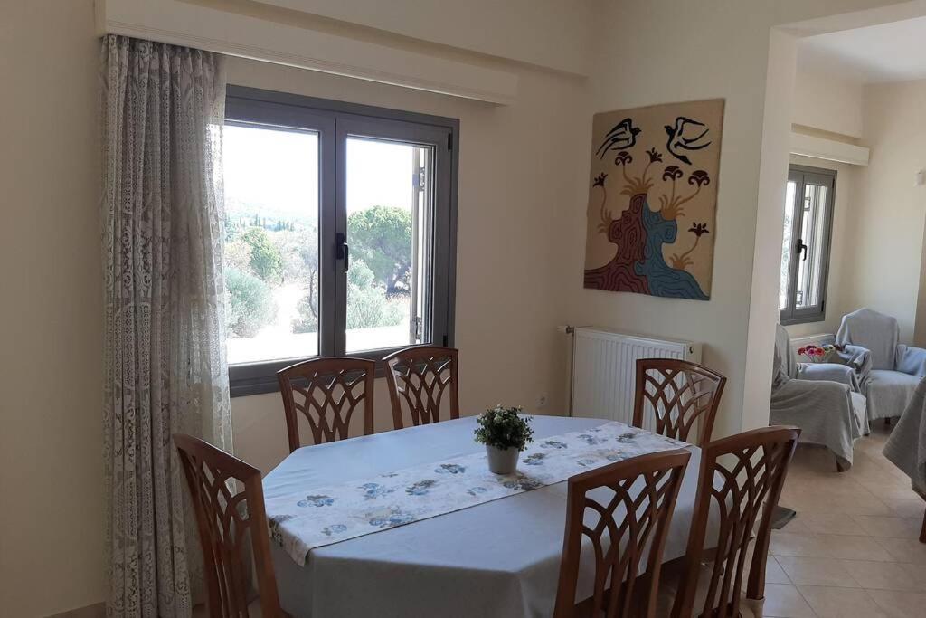 Villa Seaside Andronikos *