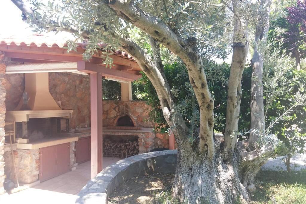 Seaside Andronikos Villa Amarynthos